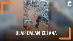Seorang pria tertangkap kamera mencuri ular piton dan menyembunyikannya di dalam celananya.