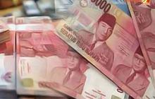 Hati-Hati, Kurs Rupiah Bisa Tembus Rp20.000 Jika Redenominasi Tidak Dilakukan