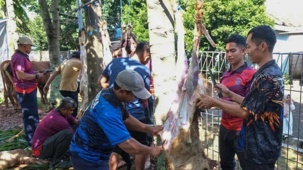 FOTO Koopsudnas Salurkan Semangat Berkurban Lewat 27 Hewan Kurban
