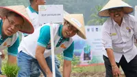 Smartfarming, Cara BNI Bantu Petani Cek Kondisi Sawah Lewat Ponsel
