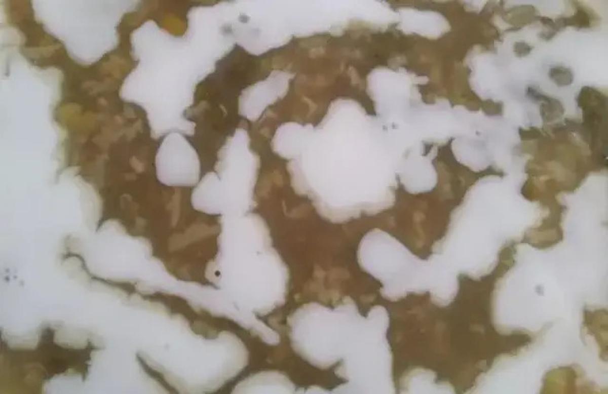 Cara Merebus Kacang Hijau Agar Empuk dan Lezat dengan Cepat Tanpa Direndam Lama