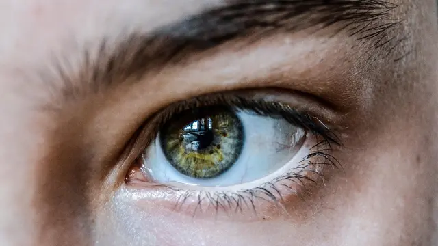 Eyes