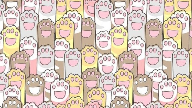 Tes Kejelian Mata: Temukan Objek yang Berbeda Dalam 10 Detik