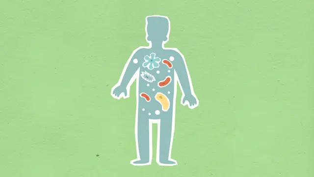 Menjaga Kesehatan Pencernaan