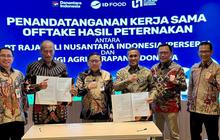 Kementan Pastikan Pengawalan Hilirisasi Ayam Sulawesi Selatan, Dukung Program Makan Bergizi Gratis