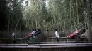 Wisatawan menaiki becak untuk berkeliling Hutan Bambu Sagano di Arashiyama, Kyoto, Jepang pada 8 Desember 2018. Hutan ini juga menjadi tempat yang cocok untuk jalan-jalan santai atau bersepeda. (Behrouz MEHRI / AFP)