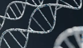 166 Tahun Berlalu, Identitas Awak Franklin Terungkap Lewat DNA