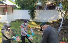 Fakta Unik: 100 Kg Daging Babi Tanpa Dokumen Dimusnahkan Karantina Maluku Utara Demi Cegah PMK