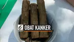 Tiga siswa SMA Negeri 2 Negeri Palangka Raya berhasil menemukan obat penyembuh kanker dari pohon bajakah. Berkat penemuan ini mereka berhasil meriah medali emas pada ajang kompetisi tingkat dunia di Seoul, Korea Selatan.