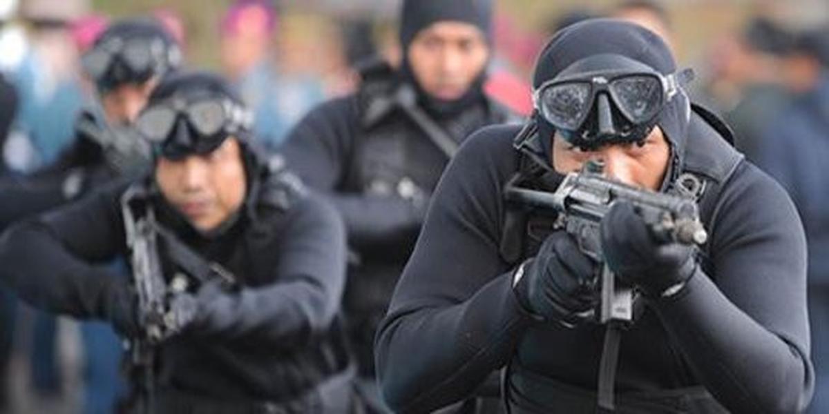 Detasemen Jala Mangkara (Denjaka)