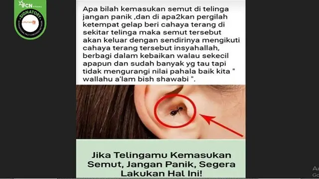Gambar Tangkapan Layar Berisi Klaim Tata Cara Mengeluarkan Semut dari dalam Telinga (sumber: WhatsApp)