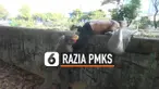 razia PMKS Jakpus Thumbnail