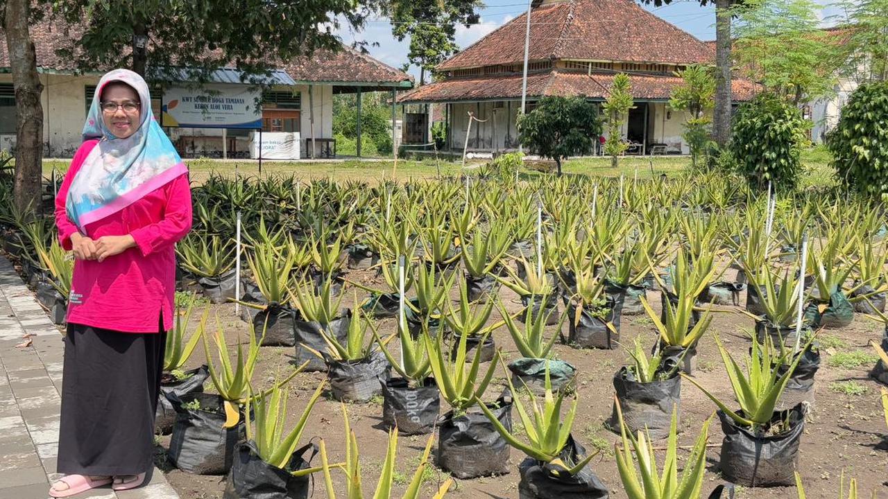 Ketua KWT Sumber Boga Tamanan, Nurul Komariyah