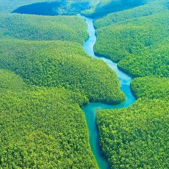 Terjebak 4 Hari di Hutan