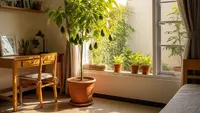 15 Tanaman Buah dalam Pot untuk Kamar Kos Biar Adem Alami, Sejuk Tanpa AC