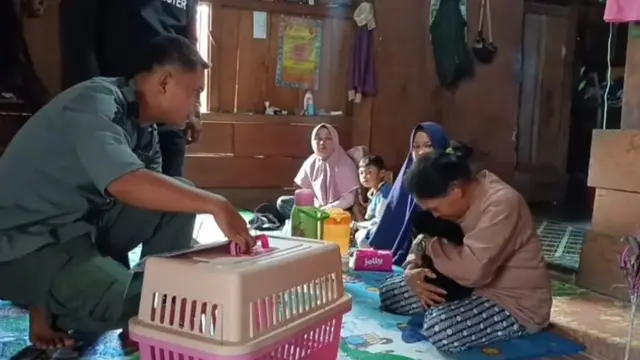 Momen Haru Pelepasan Anak Beruang, Terlanjur Sayang Ibu Ini Sampai Menangis