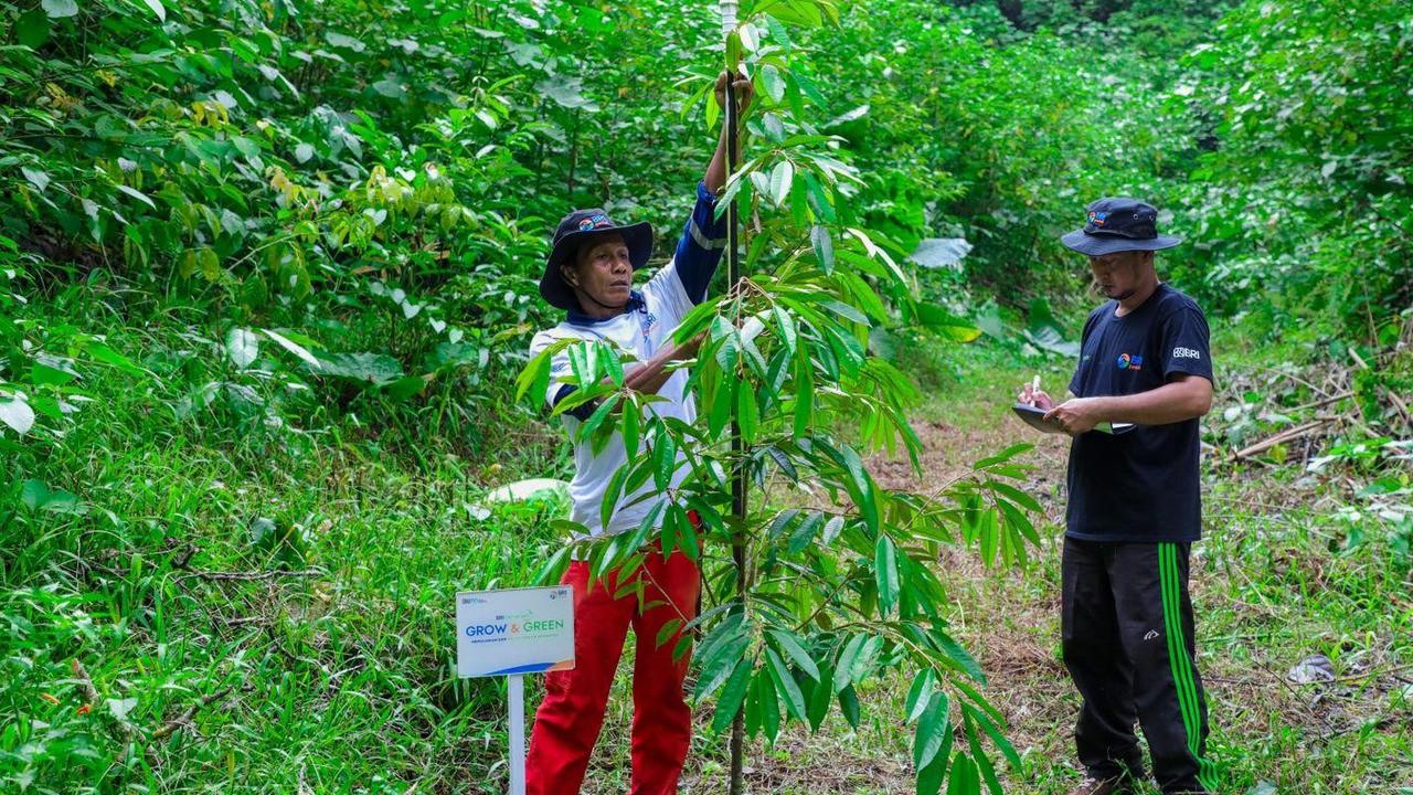Hari Lingkungan Hidup Sedunia, BRI Pertegas Komitmen Jaga Ekosistem Lingkungan melalui BRI Menanam