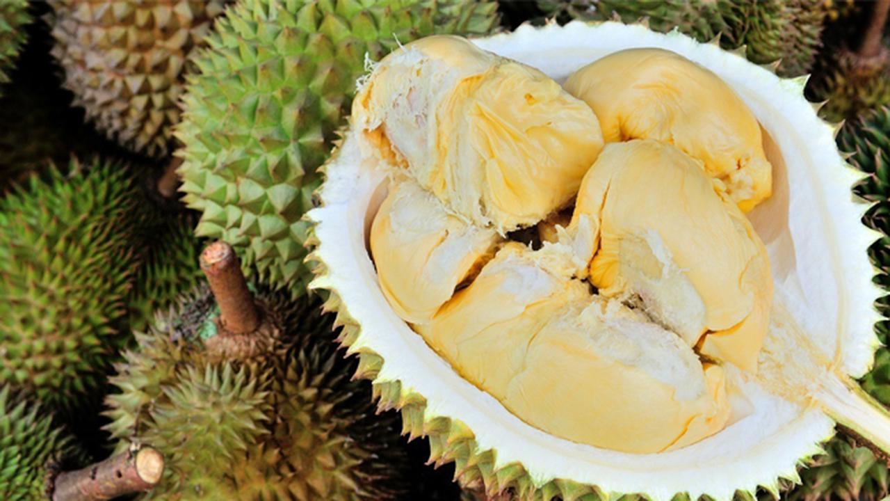 Singapura Nyatakan Buah Durian Haram, Setuju?