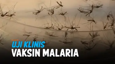 vaksin malaria