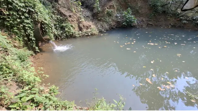 Sungai Lematang