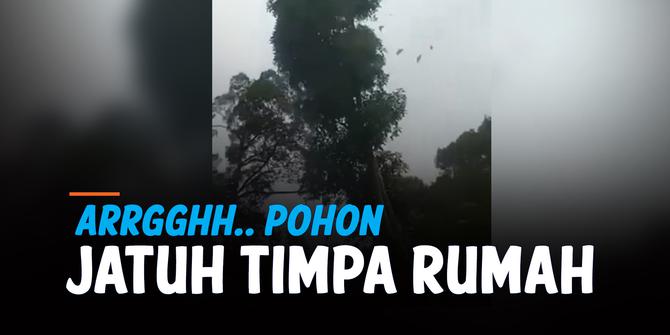 VIDEO: Detik-Detik Pohon Ditebang dan Timpa Rumah di Sampingnya