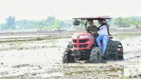 Menteri Pertanian Syahrul Yasin Limpo melakukan percepatan tanam padi di Desa Ngadirejo, Kecamatan Widang, Kabupaten Tuban, Jumat (26/6).