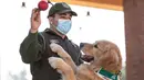 Anggota kepolisian Chile bermain dengan seekor anjing Golden Retriever bernama Clifford sebelum sesi latihan selama presentasi kepada pers di Santiago, Selasa (14/7/2020). Anjing itu dilatih untuk mendeteksi mereka yang mengidap covid-19 dengan mencium bau keringatnya. (Martin BERNETTI/AFP)