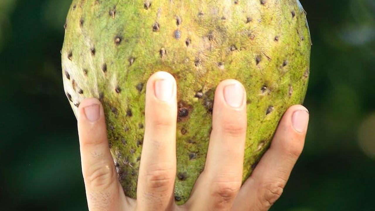 2. Melawan peradangan