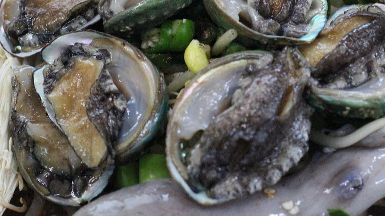 11 Manfaat Kerang Abalon untuk Kesehatan, Perhatikan Cara Pengolahannya