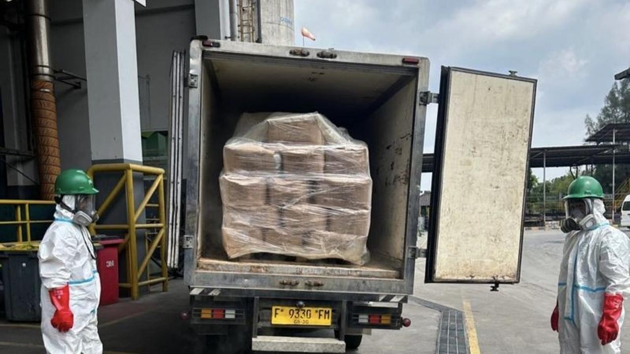 Satgas Musnahkan 5,7 Ton Udang Terkontaminasi Cesium-137, Jamin Keamanan Lingkungan