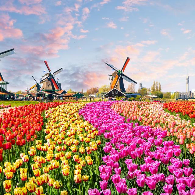 10 Tempat Wajib Untuk Dijadikan Tujuan Wisata Di Belanda Airpaz Blog