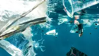 Komunitas Trash Hero Operasikan Motor Laut, Demi Wujudkan Perairan Papua Bebas Sampah