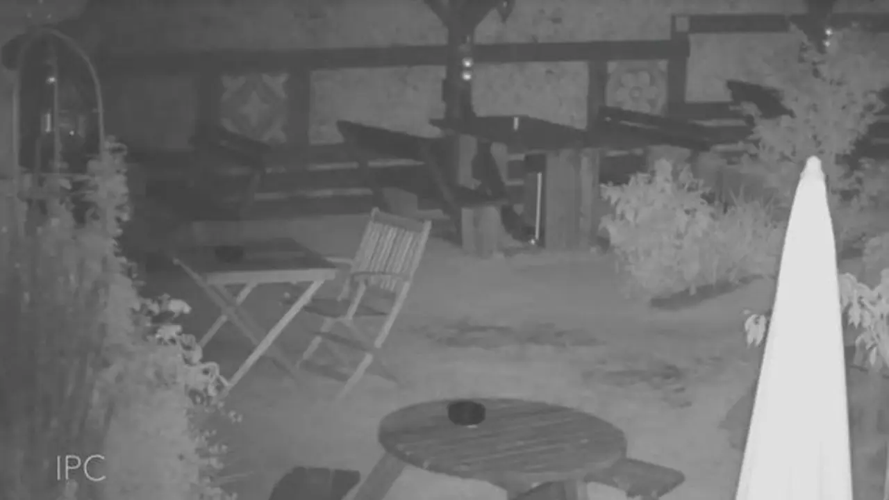 CCTV di Allister Collins, pub di Kent yang kabarnya berhantu. (Dokumentasi Allister Collins)
