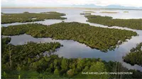 Danau Sentarum (Foto: Dok Kementerian PUPR)