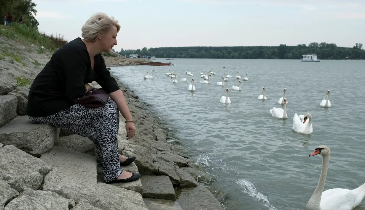 Helena Vukovic memberi makan angsa saat berada di Belgrade, Serbia, (7/9). Kementrian Pertahanan Serbia memecat Helena Vukovic setelah didiagnosis psikiatri yang dapat merusak reputasi militer. (REUTERS/Marko Djurica)
