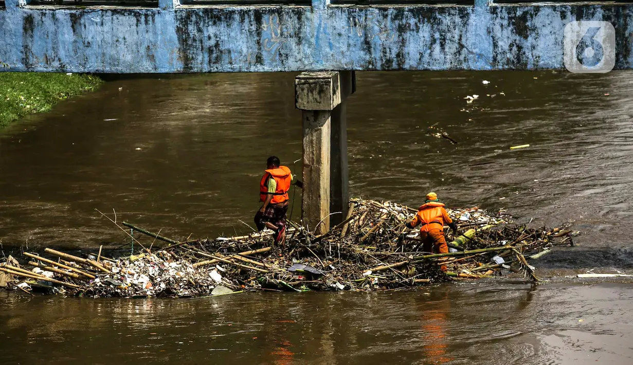 Petugas PPSU membersihkan sampah yang tersangkut di tengah derasnya aliran Kali Ciliwung, Jakarta, Rabu (19/5/2021). Pembersihan tersebut dimaksudkan agar tidak ada penumpukan sampah dan sedimentasi saluran di sepanjang Kali Ciliwung. (Liputan6.com/Faizal Fanani)