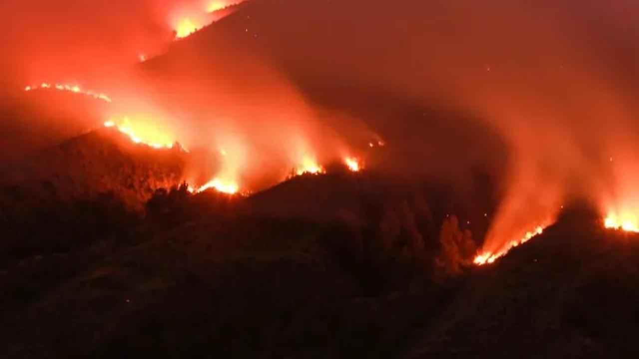 Berkas Kasus Kebakaran Bukit Teletubbies Bromo Dilimpahkan ke Kejaksaan