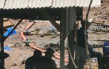 Tembok Penangkaran Sempat Jebol, Belasan Buaya Akhirnya Dipindahkan dari Cianjur ke Sumsel