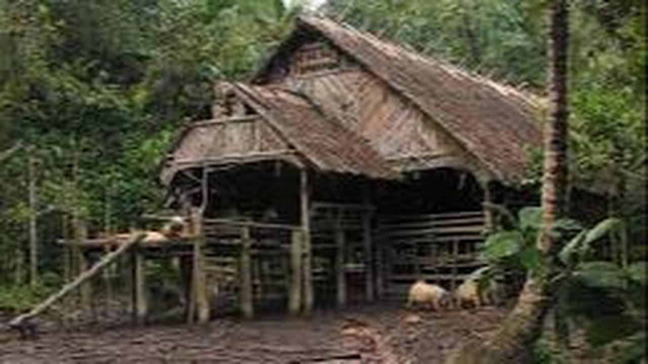<b>Tanpa Gunakan Paku</b>