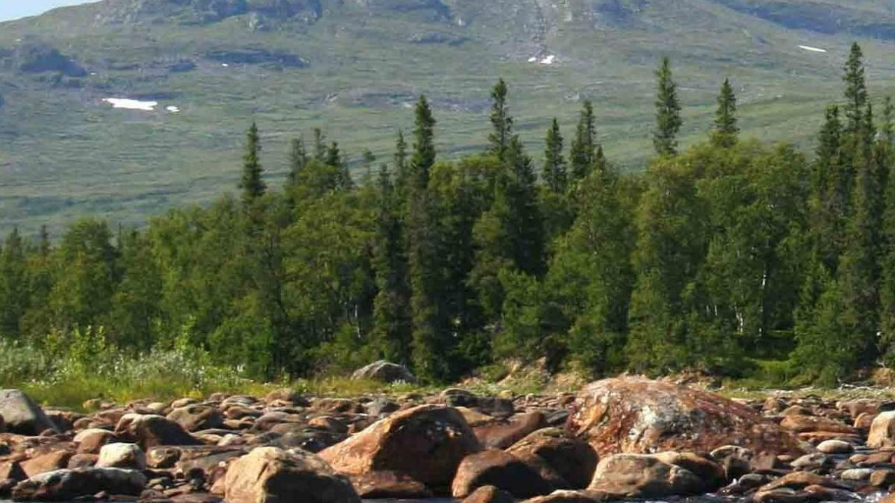 "Yang sudah bisa dipastikan adalah ini makam kremasi pada masa Viking dan 'kemungkinan besar' ini makam perempuan, kata Hansson. Sebelumnya hanya lima makam Viking ditemukan di pegunungan itu dan semuanya makam laki-laki.