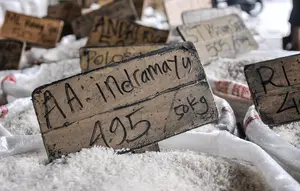 Harga Pangan Hari Ini: Beras Kualitas Super I Sentuh Rp 17.700 per Kg
