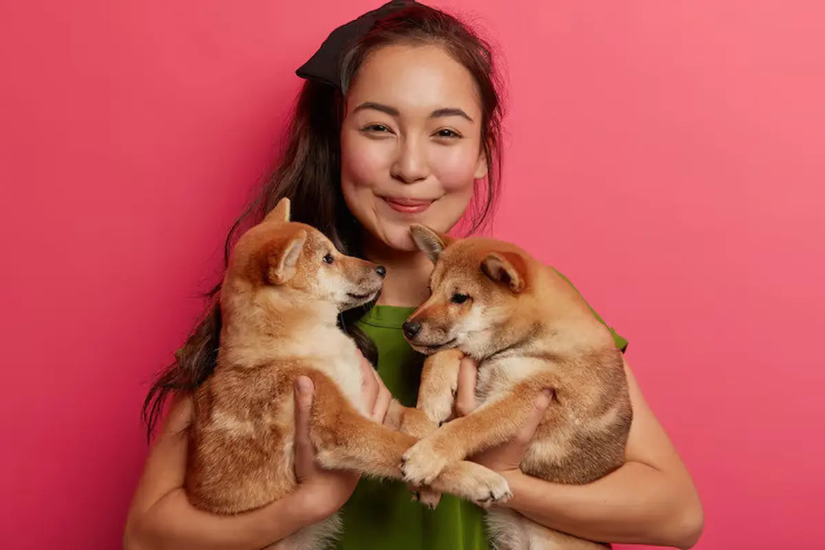 Ilustrasi pecinta anjing/freepik.com/wayhomestudio