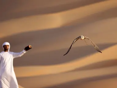 Emirati Ali Mansouri melatih elang di Gurun Liwa, Abu Dhabi, Uni Emirat Arab, Sabtu (9/1/2021). Elang menjadi simbol budaya Uni Emirat Arab berkat keterampilan dan kepribadian mereka yang berkarakter. (Karim SAHIB/AFP)