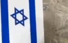 Kumpulan Aksi Burung hingga Kucing Robek & Turunkan Bendera Israel, 'Bahkan Hewan pun Anti Zionis