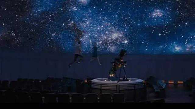 La La Land