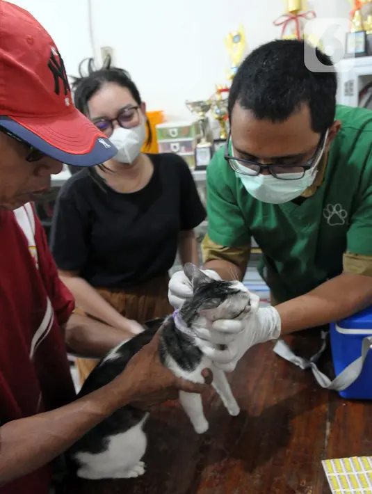 Tercatat, sebanyak 20.423 ekor HPR telah divaksinasi periode Januari sampai Juni 2023. (merdeka.com/Imam Buhori)