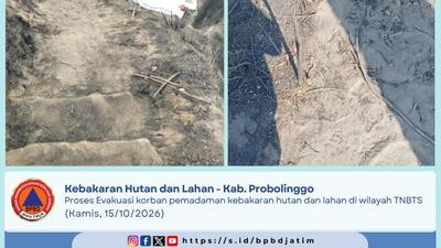 Kronologi 3 Orang Tewas Terjebak Api saat Padamkan Kebakaran di Bromo