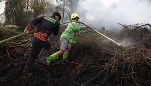 12.880 Personel Dikerahkan Atasi Kebakaran Hutan Kalimantan