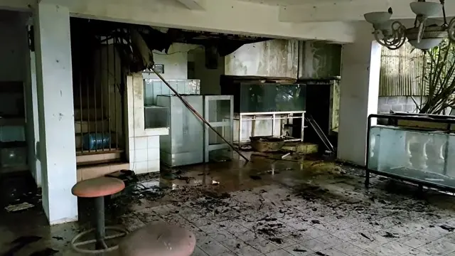 Penampakan Rumah Kosong yang Ditinggalkan 20 Tahun, Isinya Masih Komplet