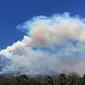 Kebakaran melanda hutan di lereng Gunung Agung yang terletak di Kabupaten Karangasem, Bali. (Foto: Istimewa/BNPB)